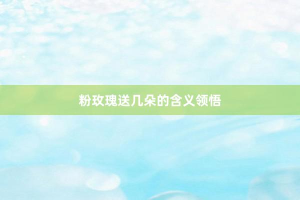 粉玫瑰送几朵的含义领悟