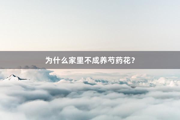 为什么家里不成养芍药花？