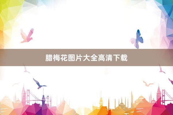 腊梅花图片大全高清下载
