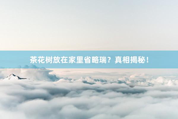 茶花树放在家里省略瑞？真相揭秘！